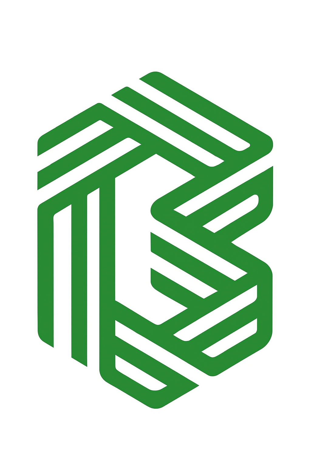 DIGGIBRANDS MANAGEMENT CONSULTANTS & SERVICES PVT LTD